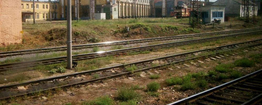 
            Фотография Молодёжного