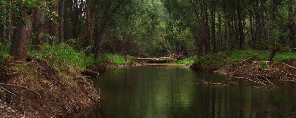 
            Фотография Васильевки