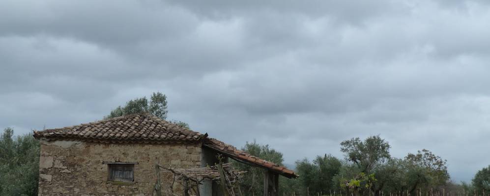 
            Фотография Крестены