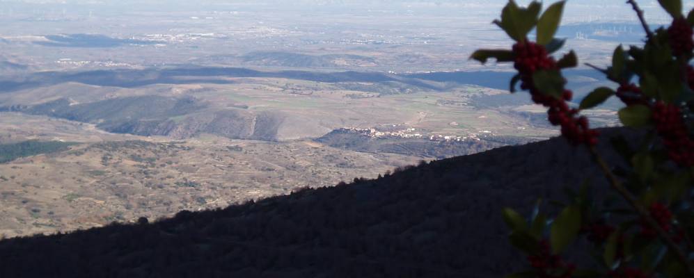 
            Фотография Alcalá de Moncayo