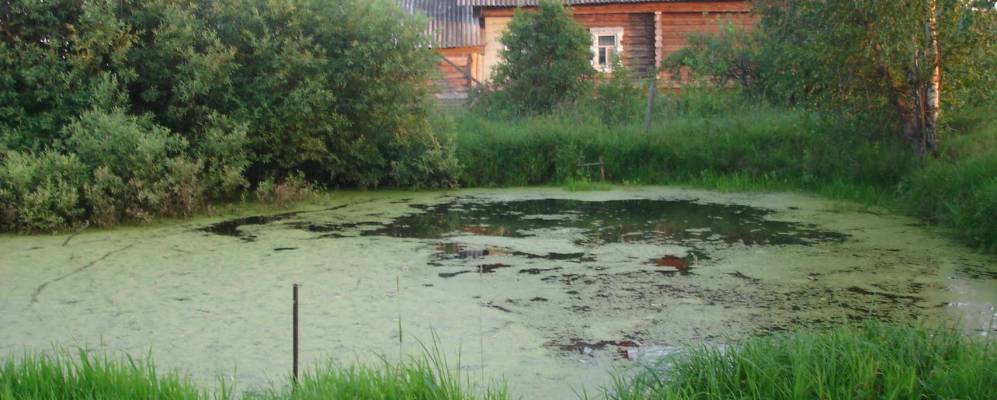 
            Фотография Быково