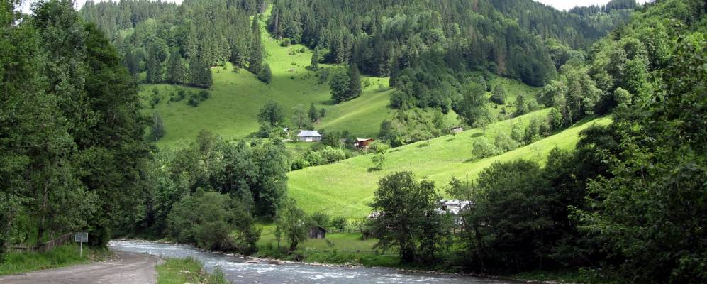 
            Фотография Топильче