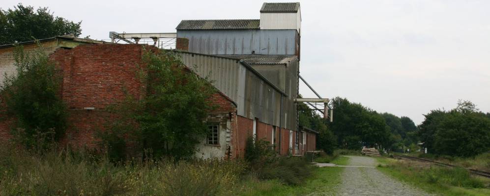 
            Фотография Босель