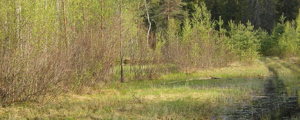 Фотография Белкино