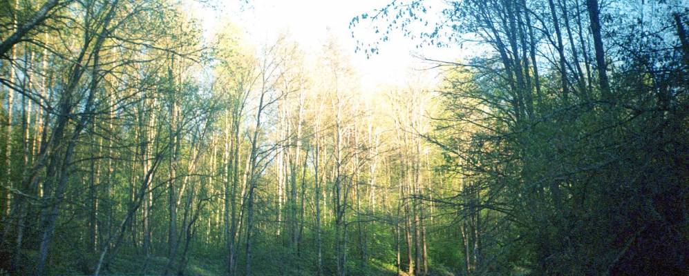 Фотография Ковалевки