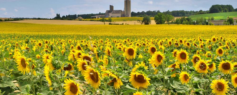 
            Фотография Арвэра