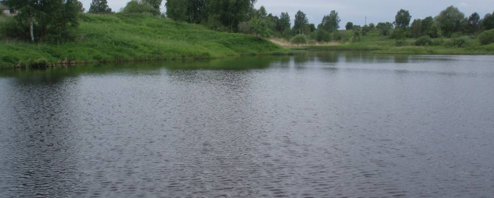 
            Фотография Реутово