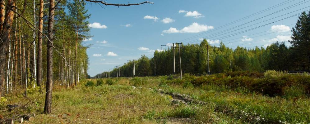 
            Фотография Дудора