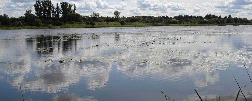 Фотография Обжи