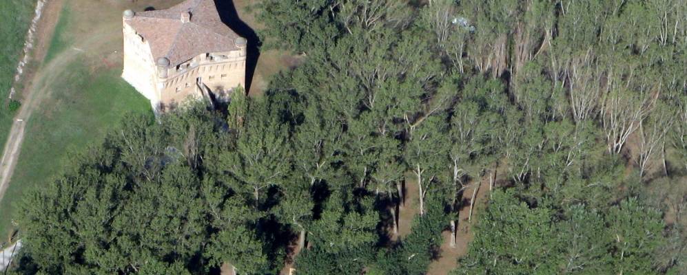 Фотография Фикароло