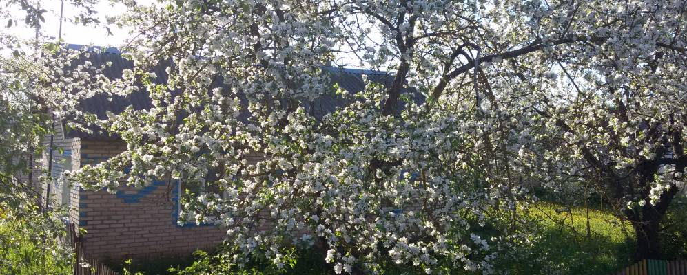 Фотография Калиновки