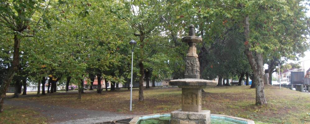 
            Фотография Амоеиро