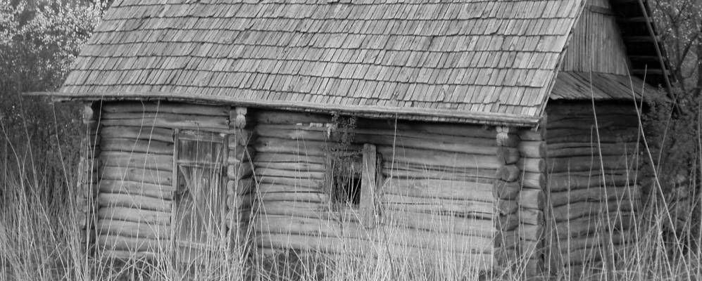 
            Фотография Георгиевского