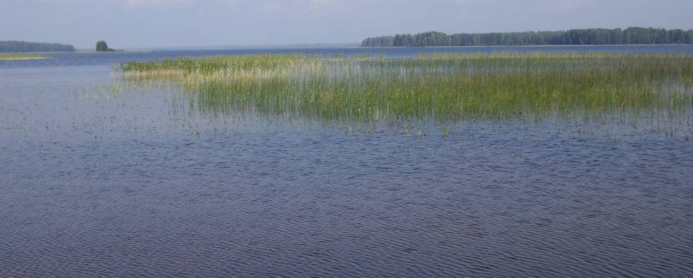 
            Фотография Выставки