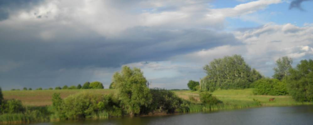 
            Фотография Малой Чернявки