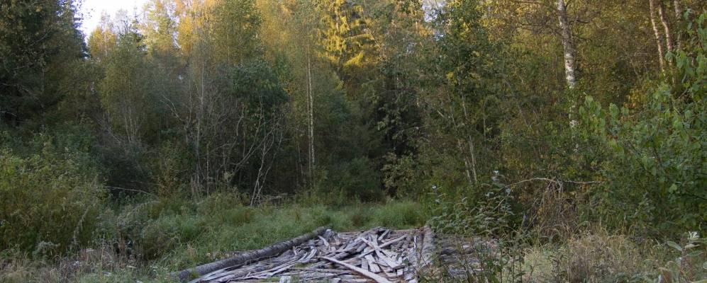 
            Фотография поселка Хотцы