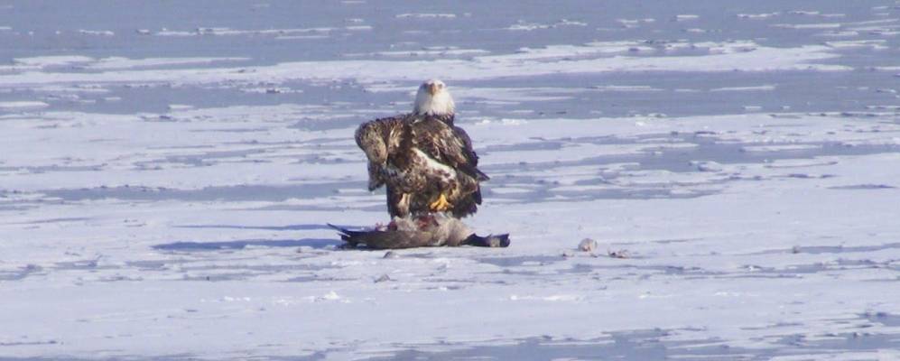 
            Фотография Уотервилла