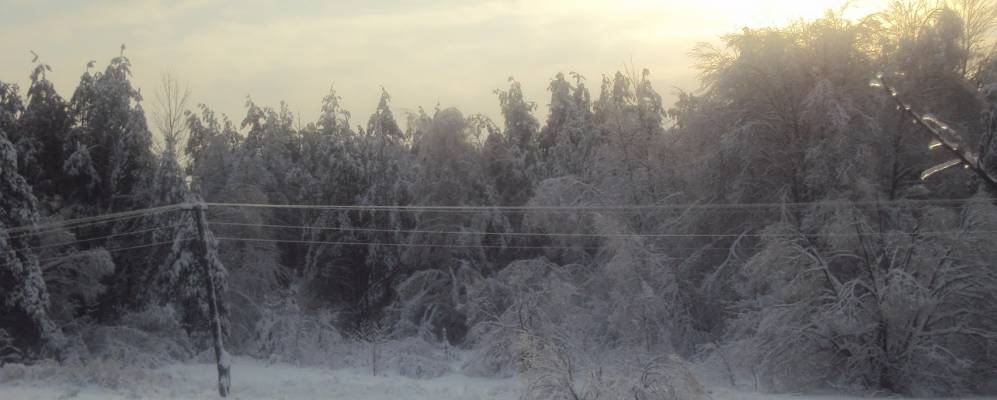 
            Фотография деревни Избищи