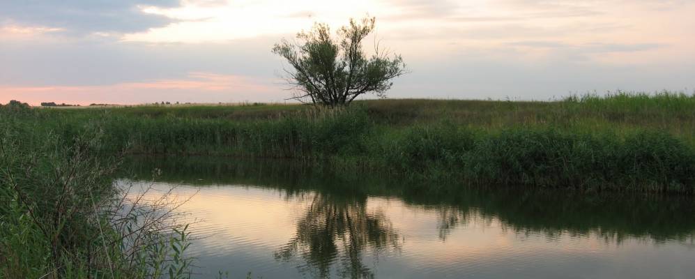 
            Фотография Успенского