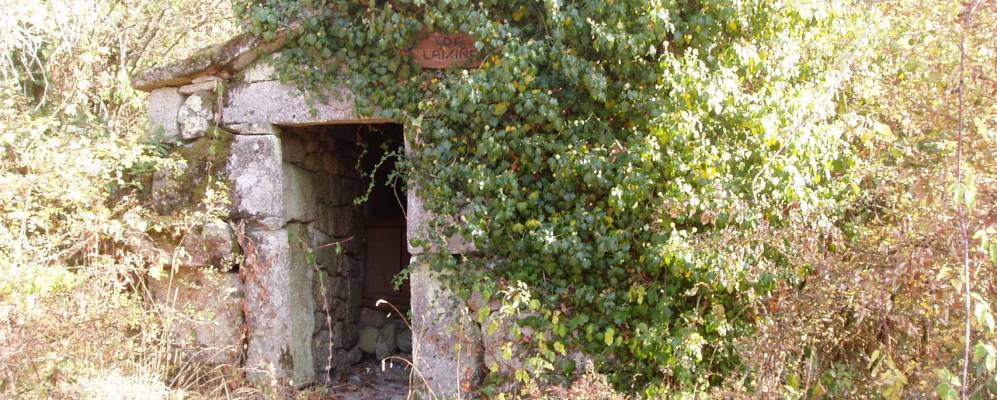 
            Фотография Ловиоса