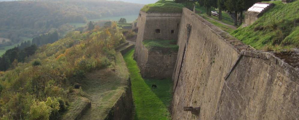 
            Фотография Монмеди