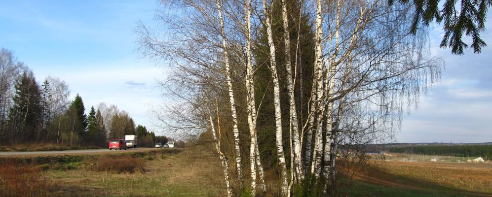 Фотография Больших Логуновых