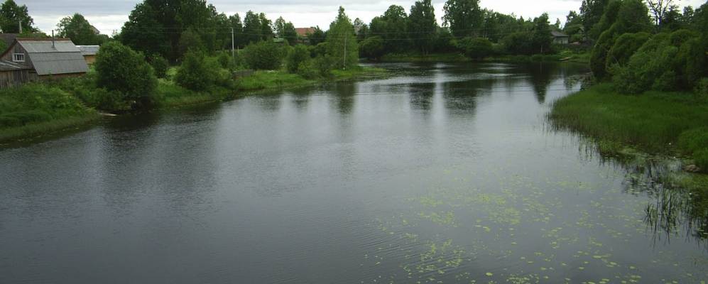 Фотография Васильково