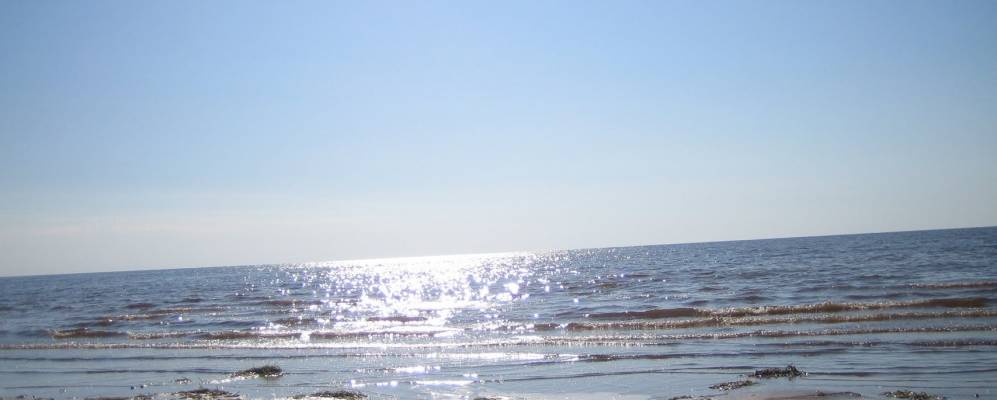 
            Фотография Георгий