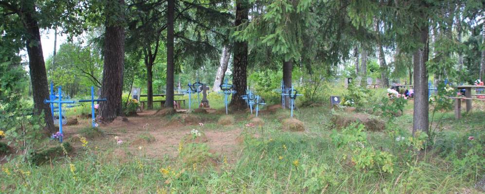 
            Фотография деревни Головчицы