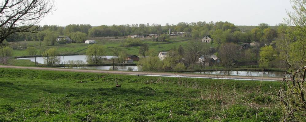 
            Фотография Селезнево