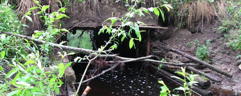 
            Фотография Нового  Березно