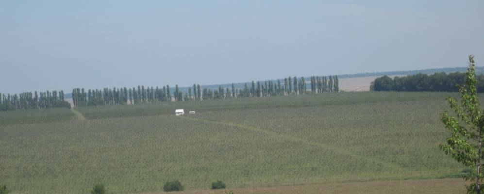 
            Фотография Шпирки