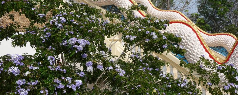 
            Фотография Ban Nong Makha