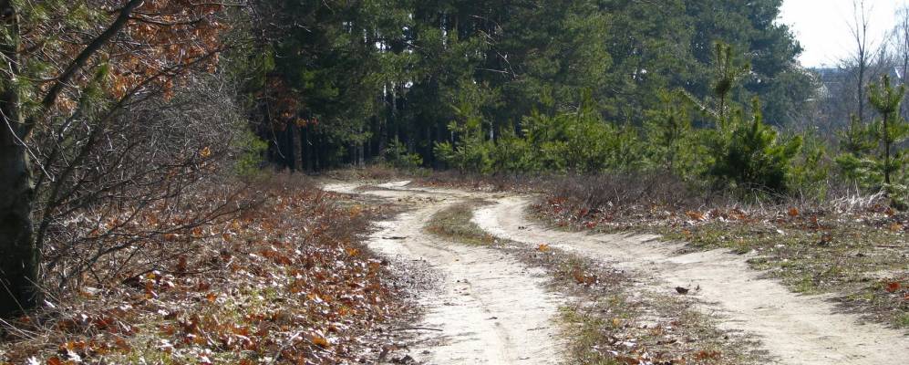 Фотография Путровки
