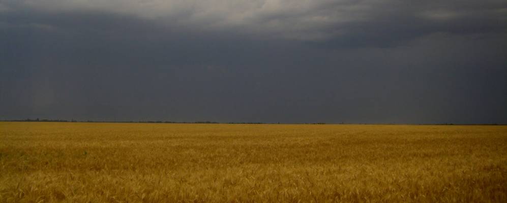 
            Фотография Новофедоровки