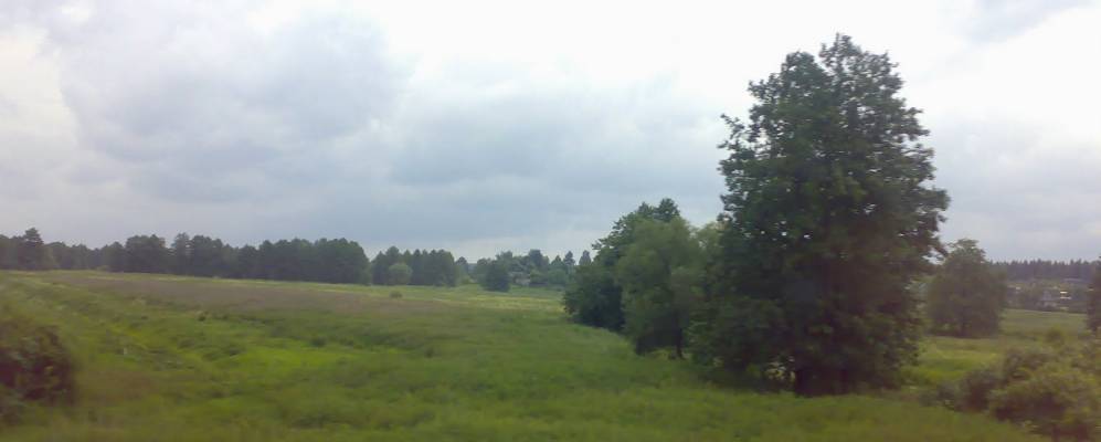 
            Фотография Досовой Селибы