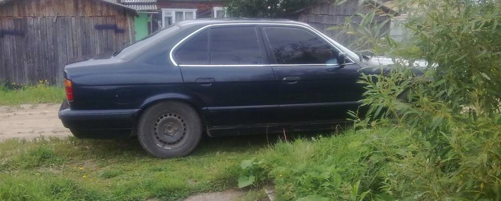 
            Фотография Курицынской