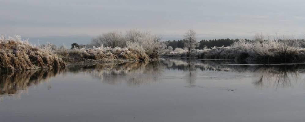 
            Фотография Сведского