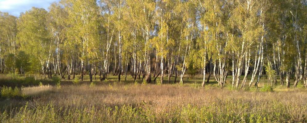 
            Фотография Пурсовки