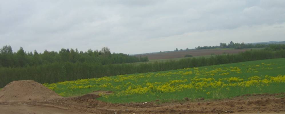 
            Фотография Нового Иванцево