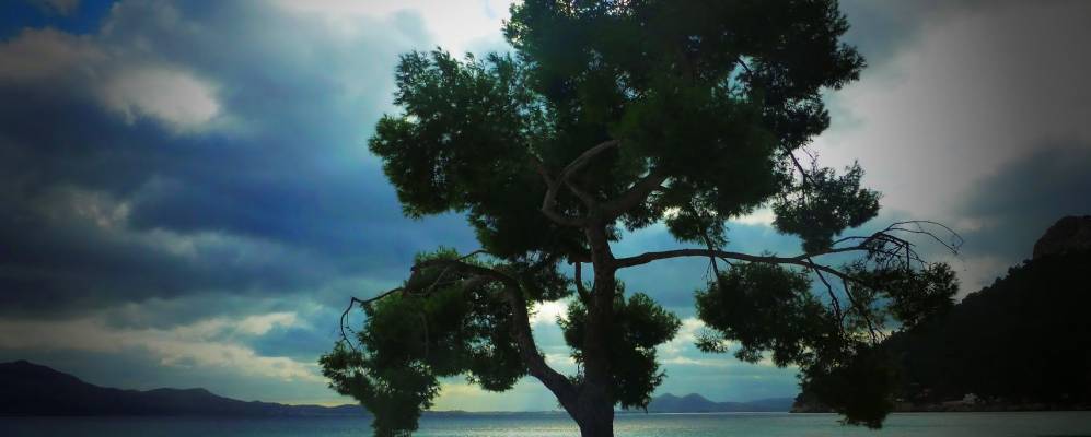 
            Фотография Форментор