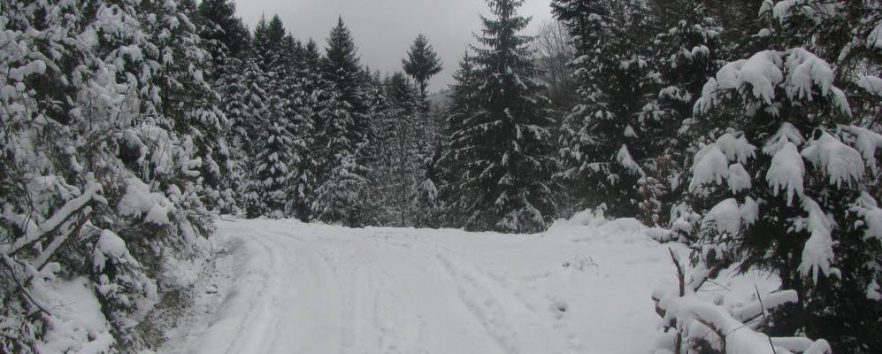 
            Фотография Еуда