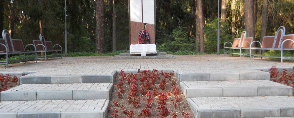 
            Фотография Садового