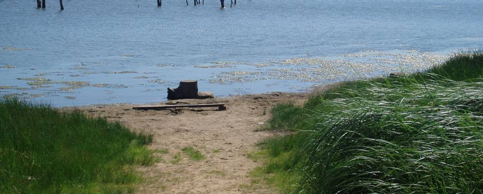 
            Фотография Панаево