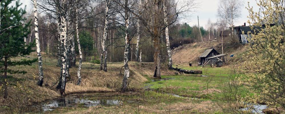 Фотография Вихорево