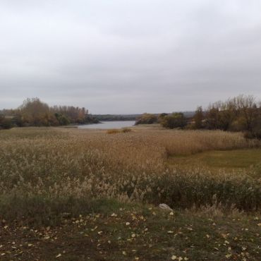 Нечволодовка