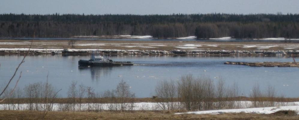 Фотография Закоды