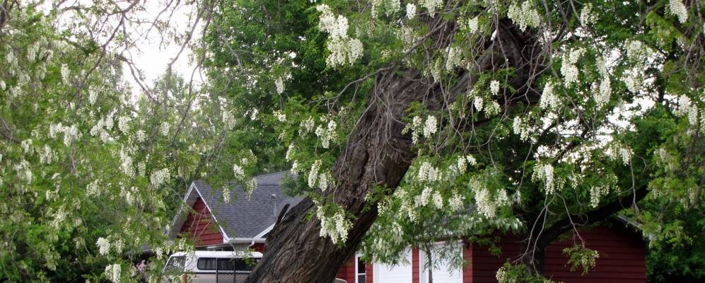 
            Фотография Робертса