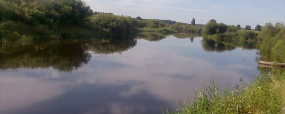 
            Фотография Мотейки