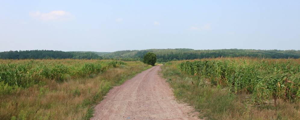 
            Фотография Шоломки